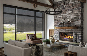 Alta Roller Shade motorized
