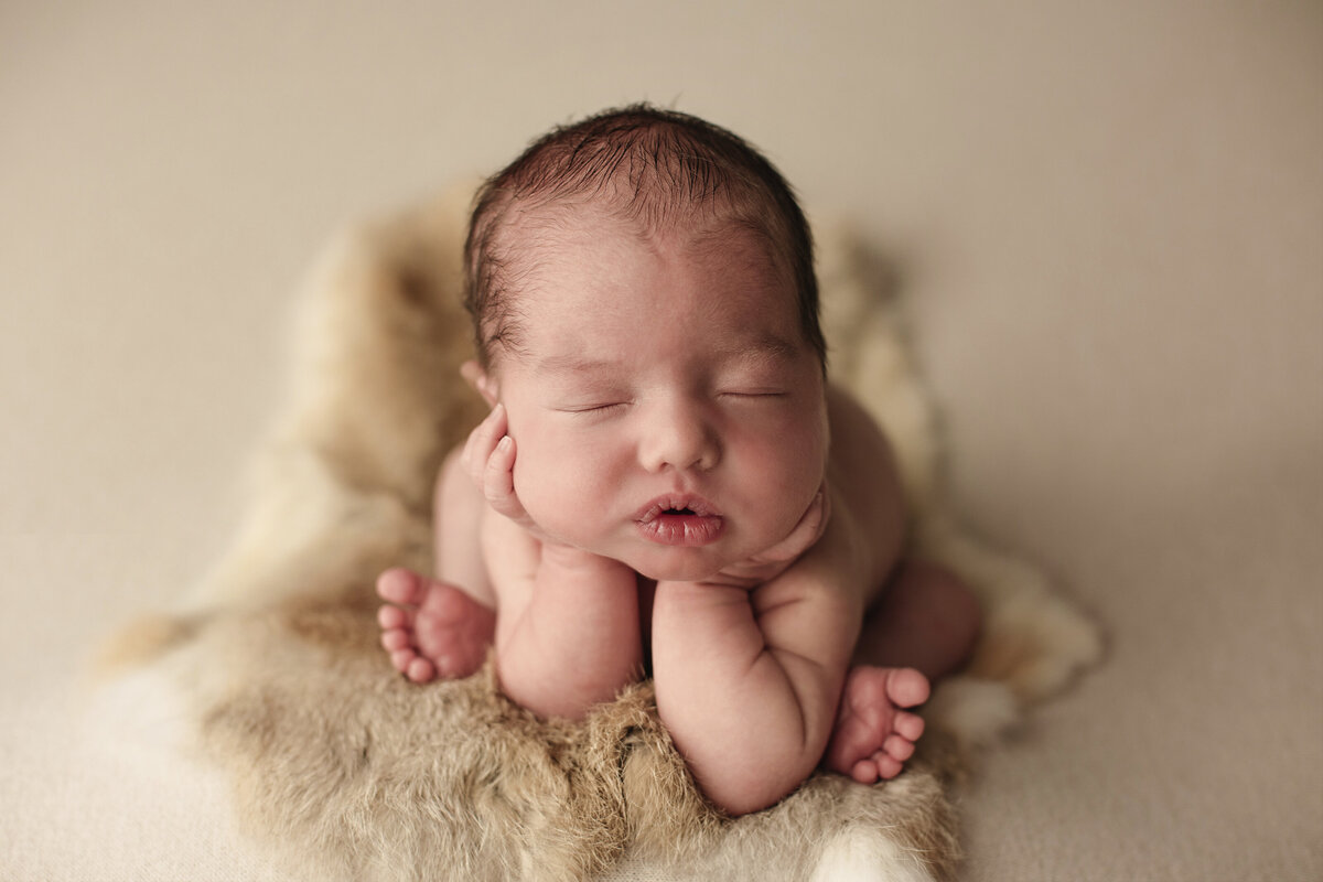 newborn photography akron ohio