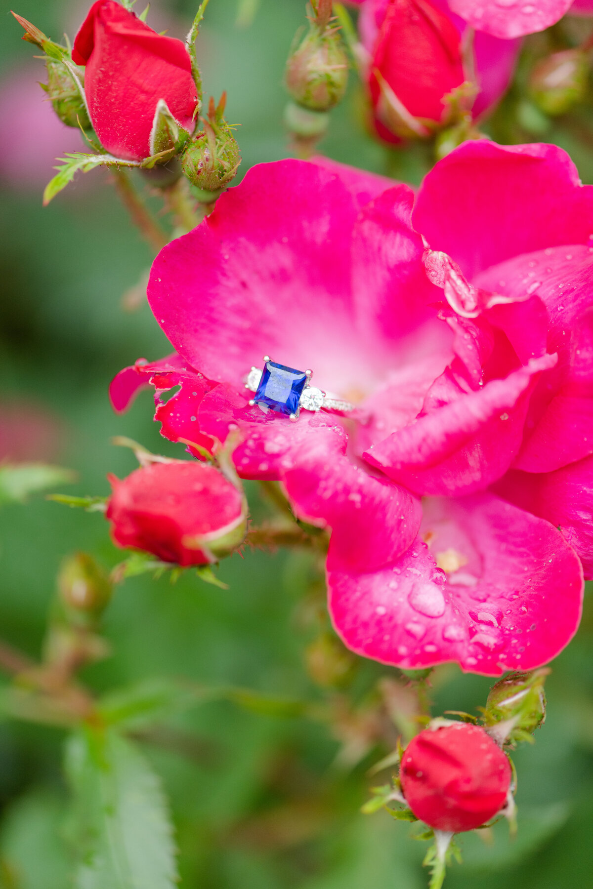 Jenny+Nicholas_GeorgeTownEngagement_180807