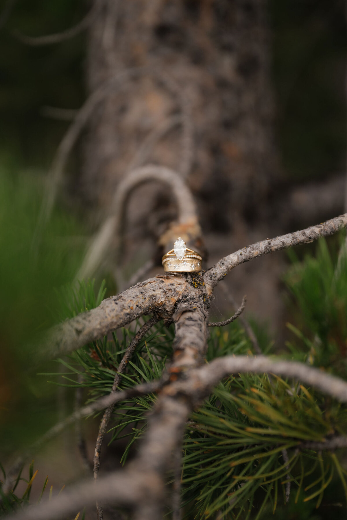 Grand Teton Elopement Photographer