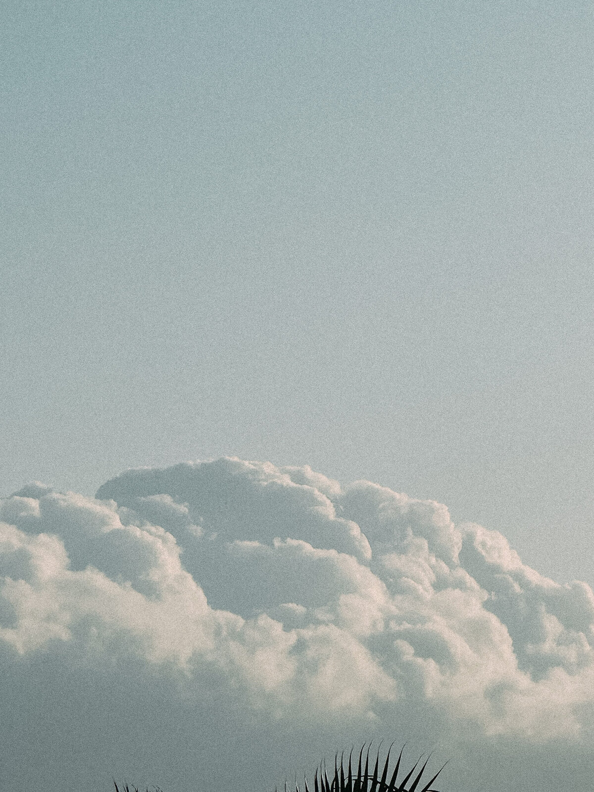c3774699-a494-4063-884c-4032a6f7cb6d