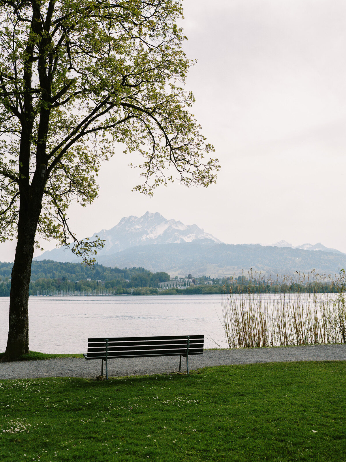 Lucerne Engagement Session-19