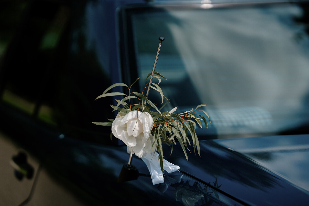 image00010