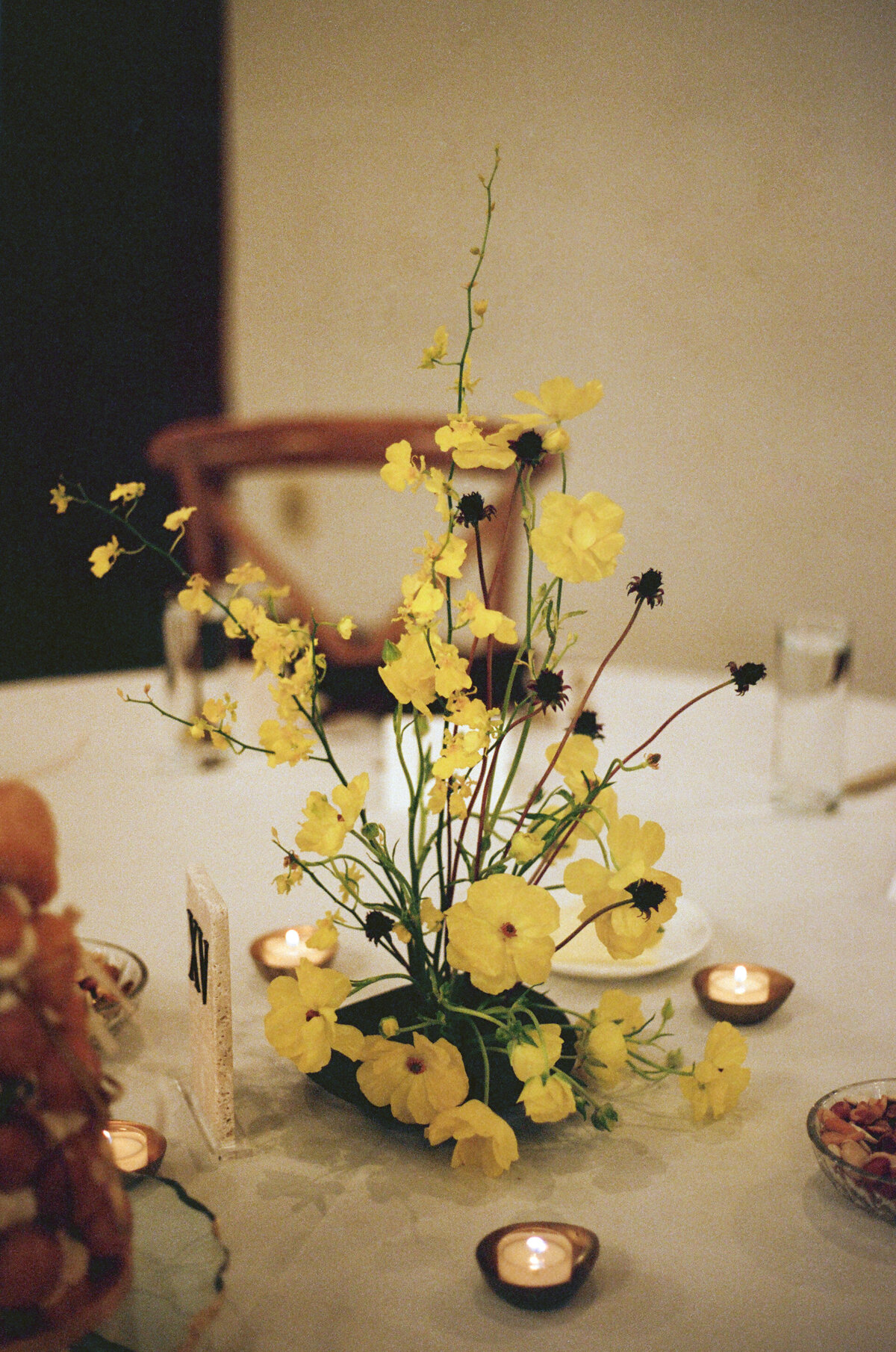 kodak_professional_portra_400_11_19_2024_000411250005