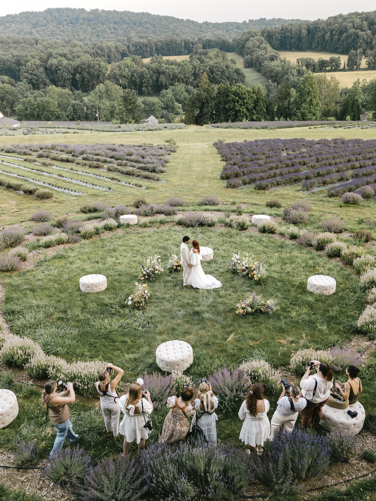 LavenderWorkshop_Drone-068