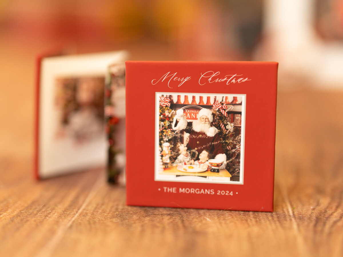 SteinArtStudio 2024-09-11 Christmas products-22