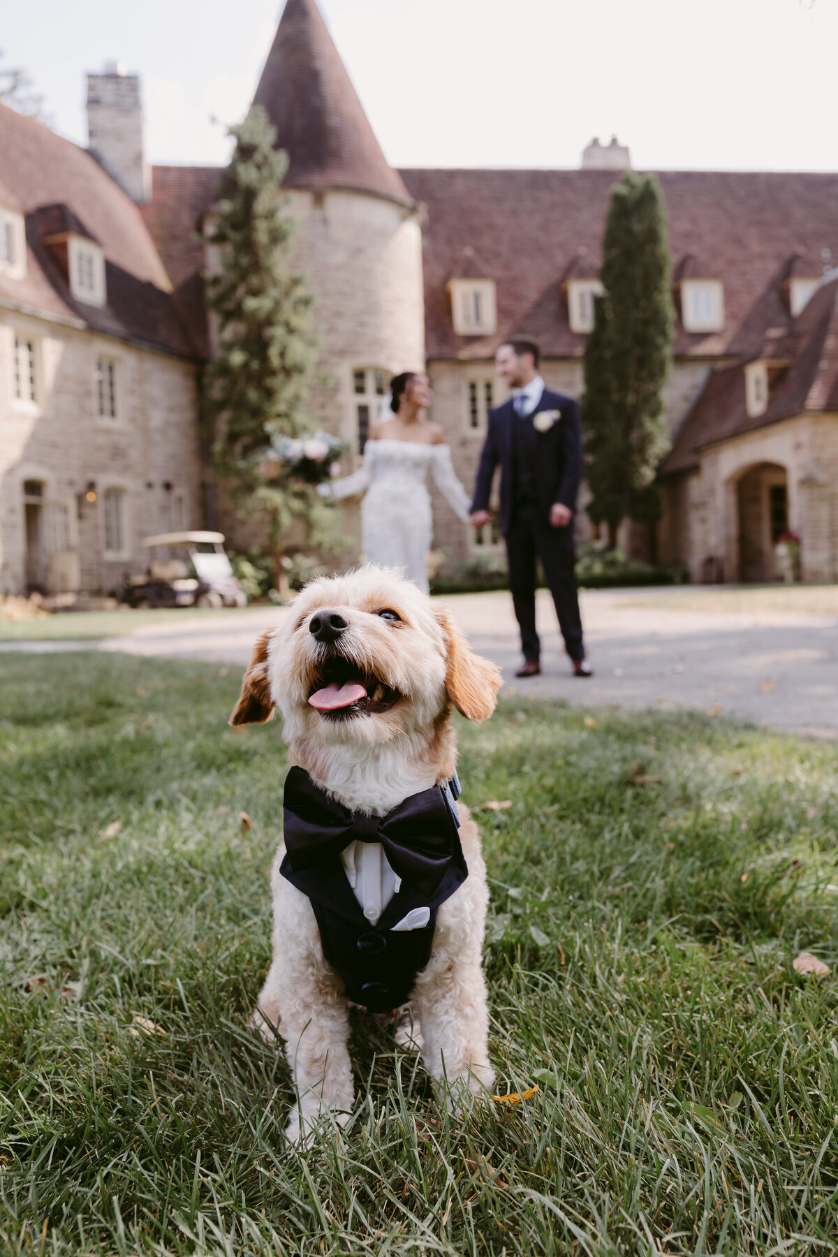 Tammy+Adam_Previews_DanicaOlivaPhotos_61