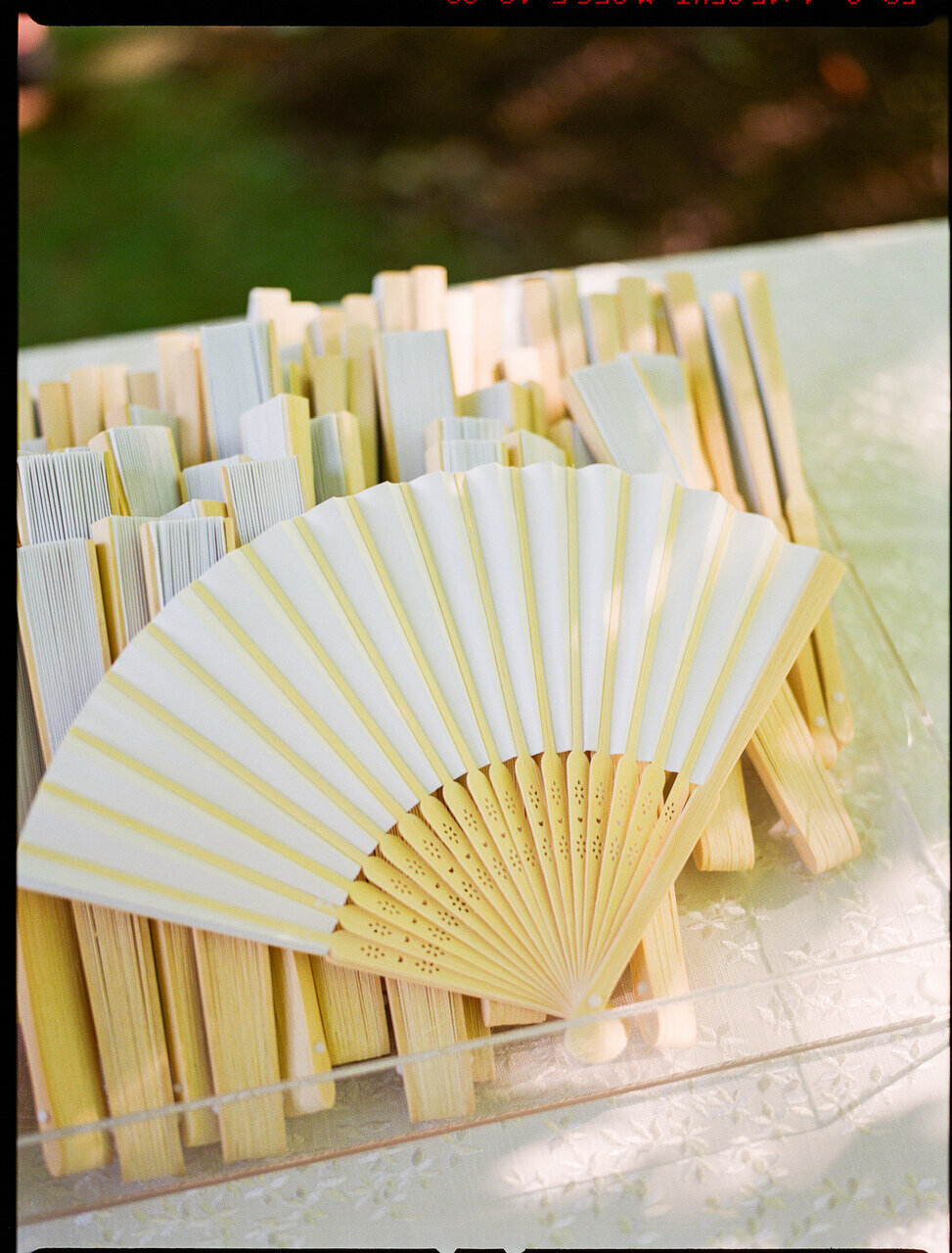 leila-brewster-photography-1960