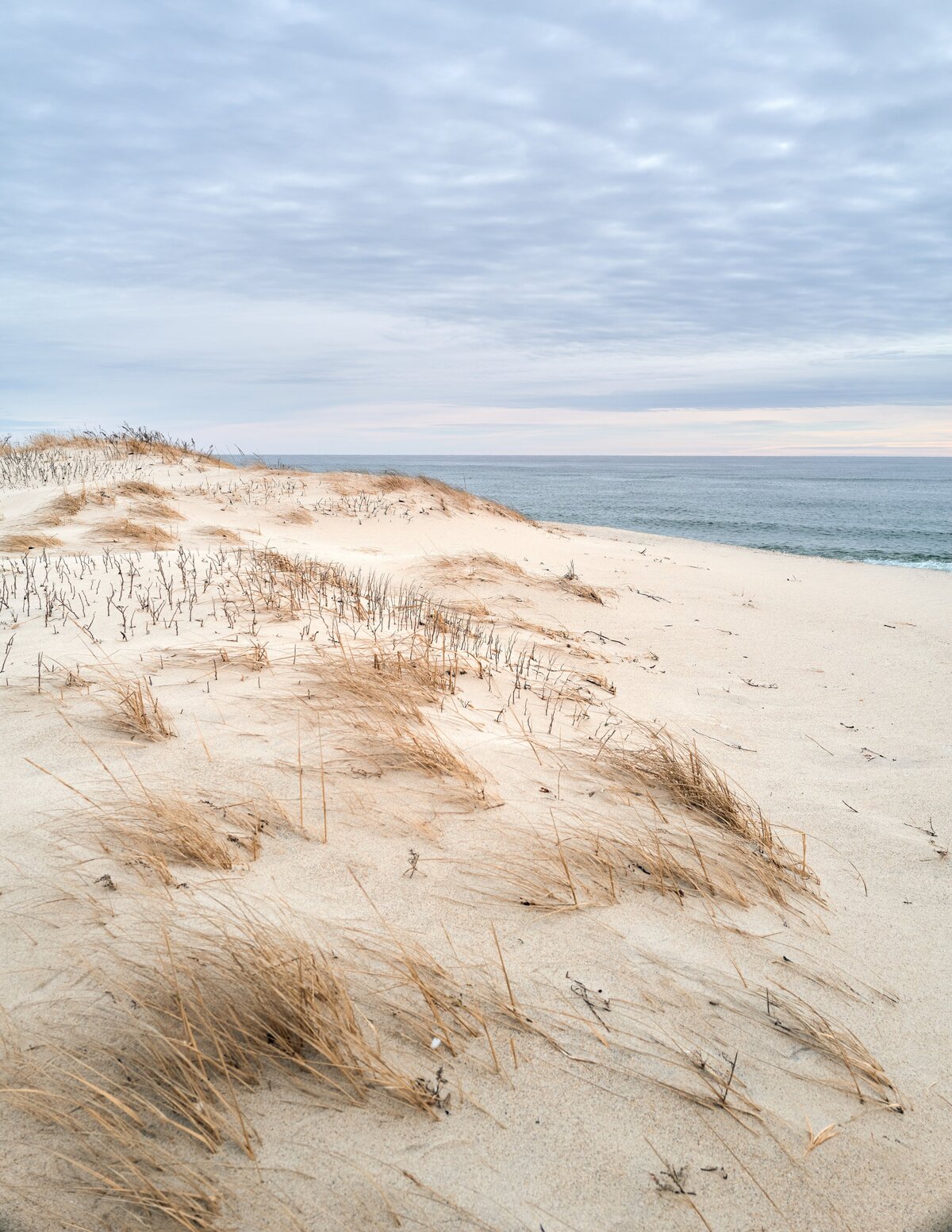 Sand Dune - ACK - Costal Serene Beach Landscape Nantucket