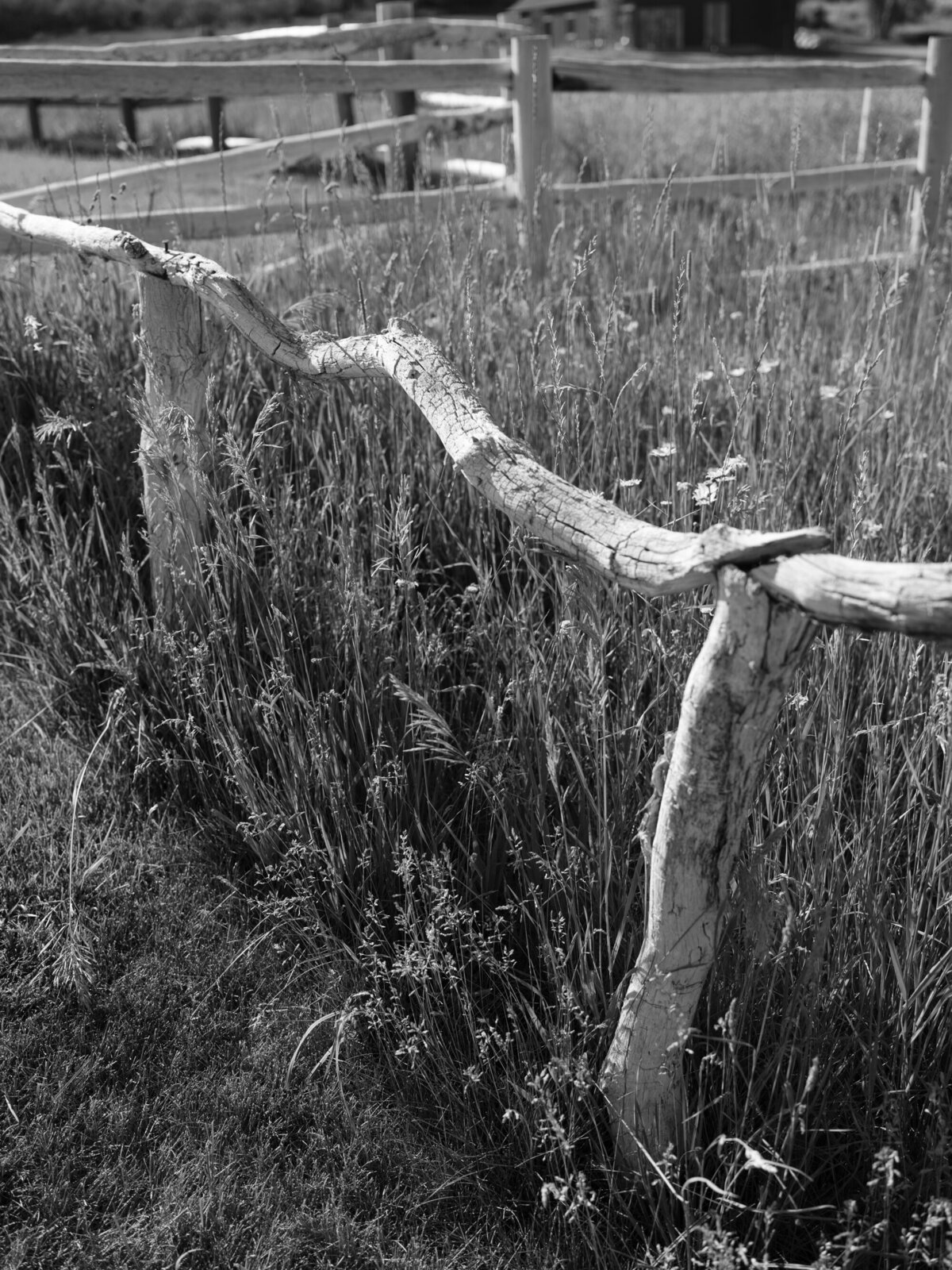 Aspen_Snowmass_Ranch_Wedding-25