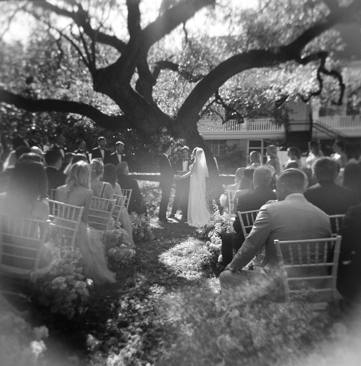 outdoor wedding ceremony in front of tree at hotel saint cecilia.