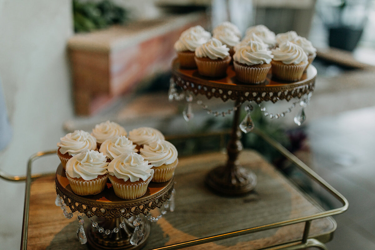 Elope Tampa Bay Isla Del Sol