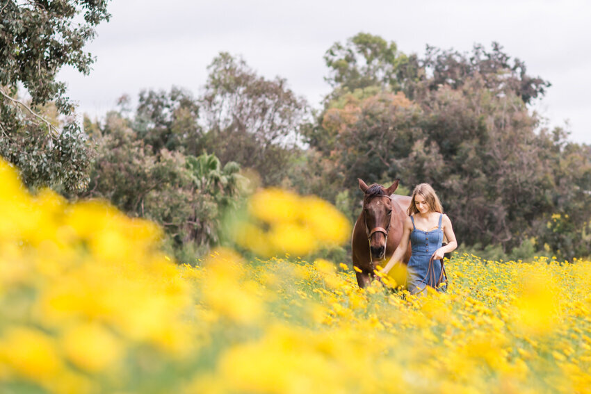 senior girl walking through field of yellow flowers with horse