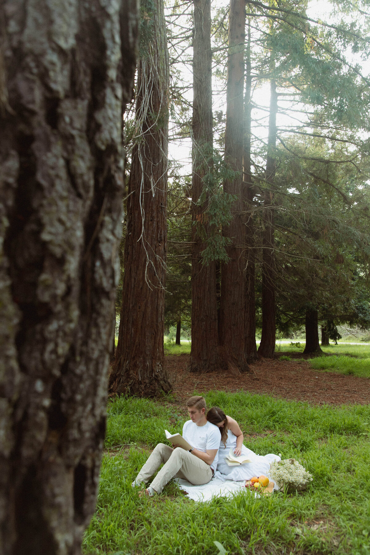california_wildflowers-27