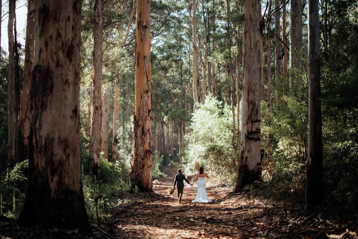 Forest-Elopement-Pemberton-42
