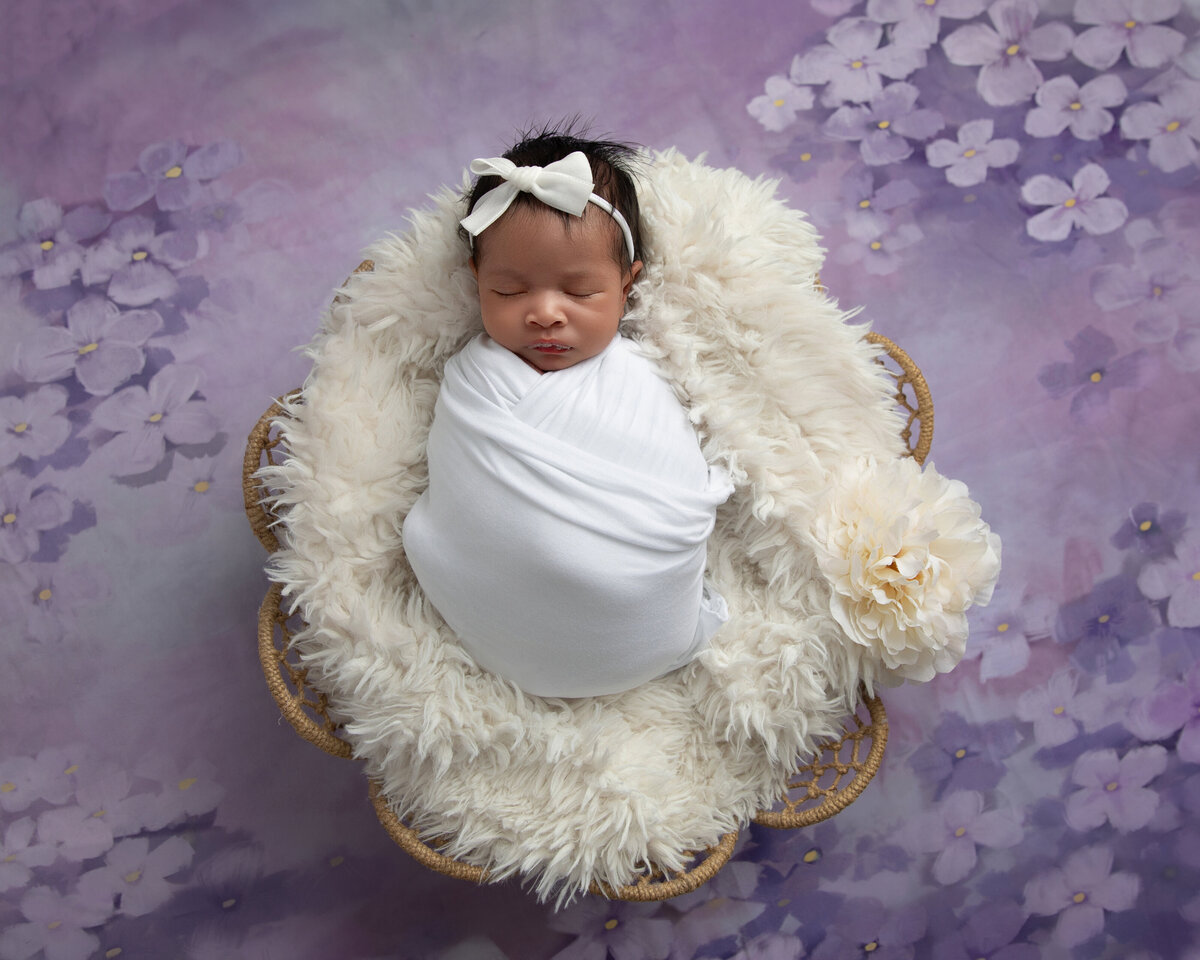 luxury-newborn-photographer-purple