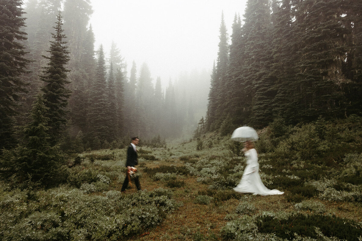 MtRainierSmallWedding-DallinHazard-159