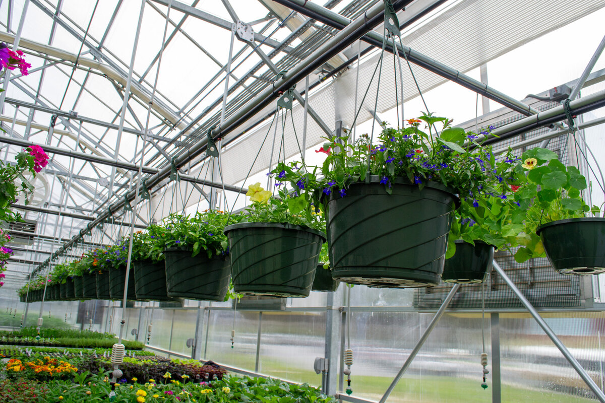 BRCC Greenhouse-08