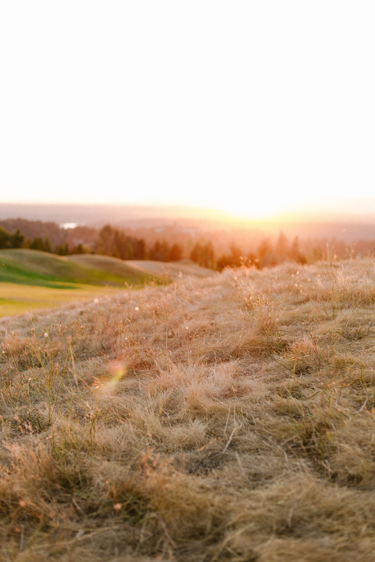 5 - Haoyan & Yilan - Newcastle Golf Club - Kerry Jeanne Photography (137)