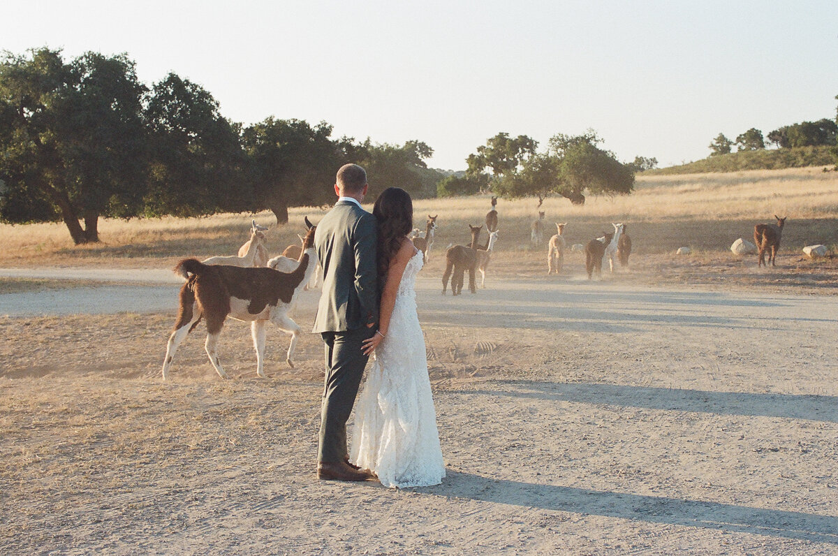 Colorful-Summer-Ranch-Wedding3