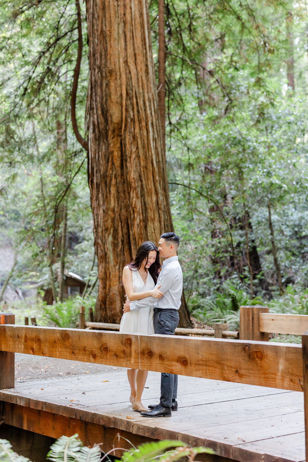 armstrong-redwoods-state-park-4