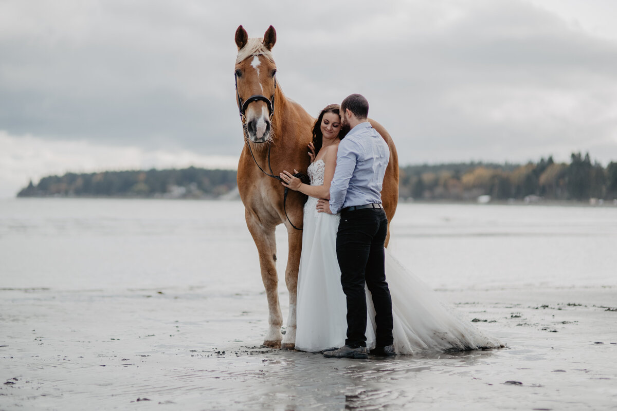 October Autumn Equine Trash the Dress Horse Wedding_03