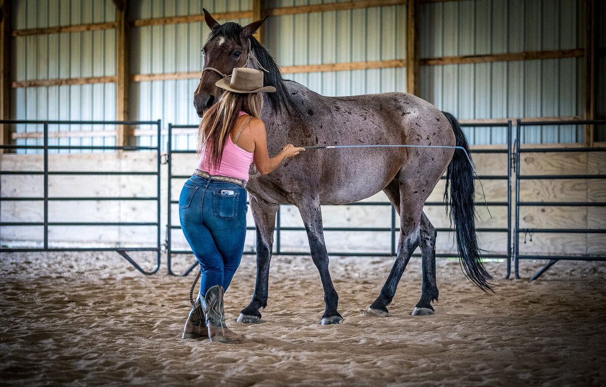 Quarter Horse being taught to side step