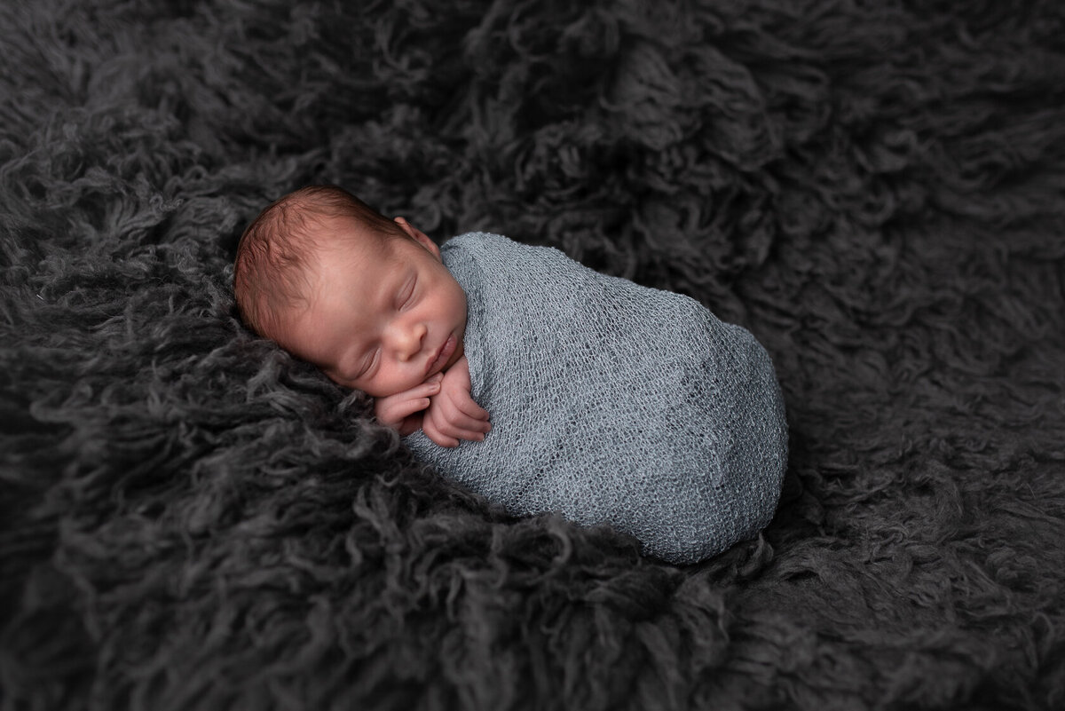 Wrapped newborn in grey furry background