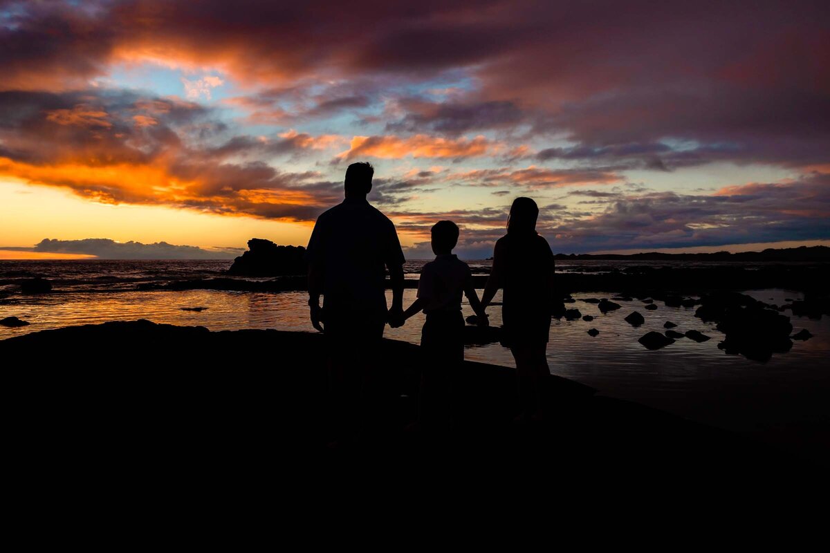 BigIslandFamilyPhotos (87)