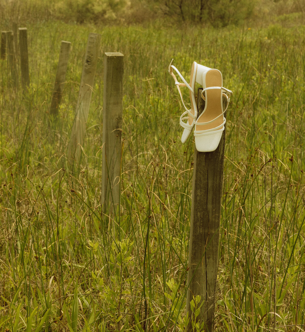 The Cagles - Payton Hartsell Photography-5