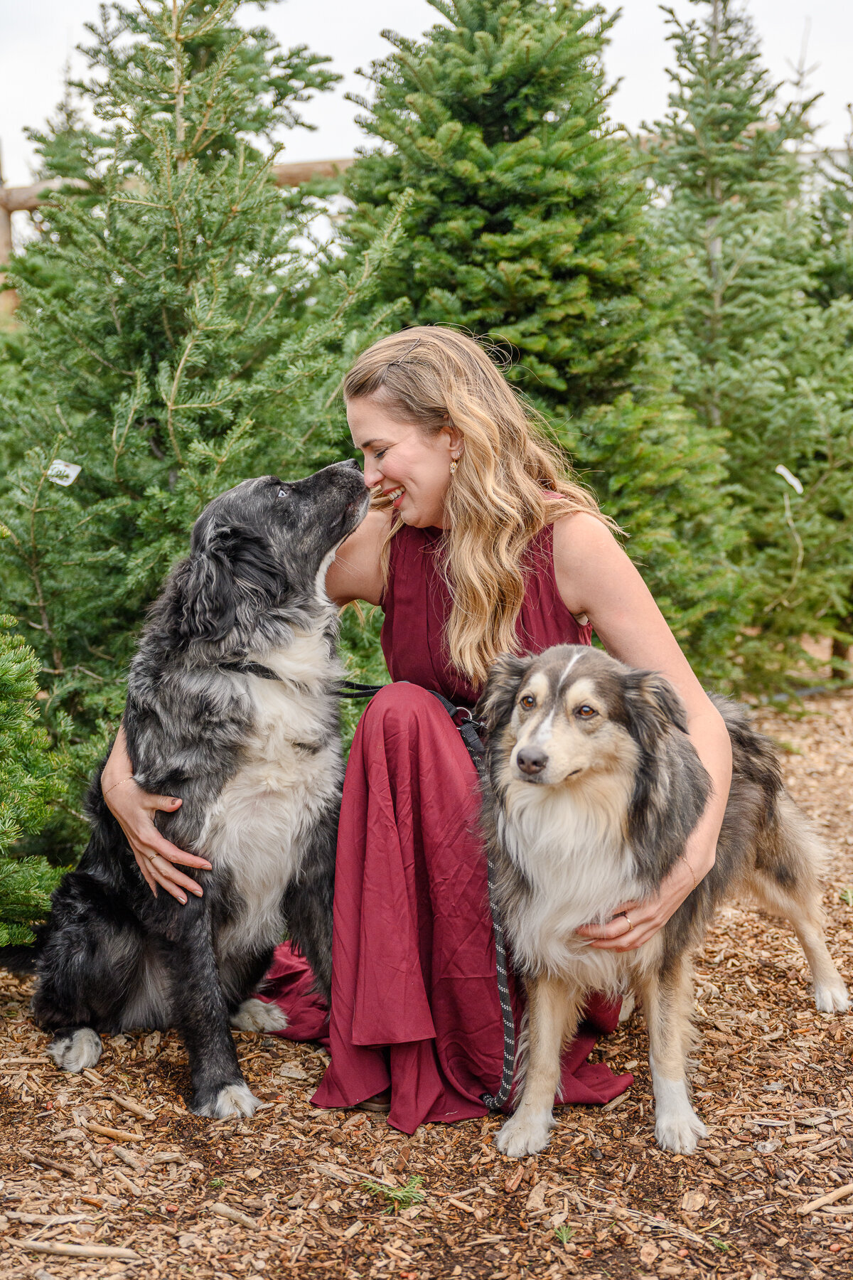 Tree farm utah family photographer christmas mini sessions alice photo co-1395