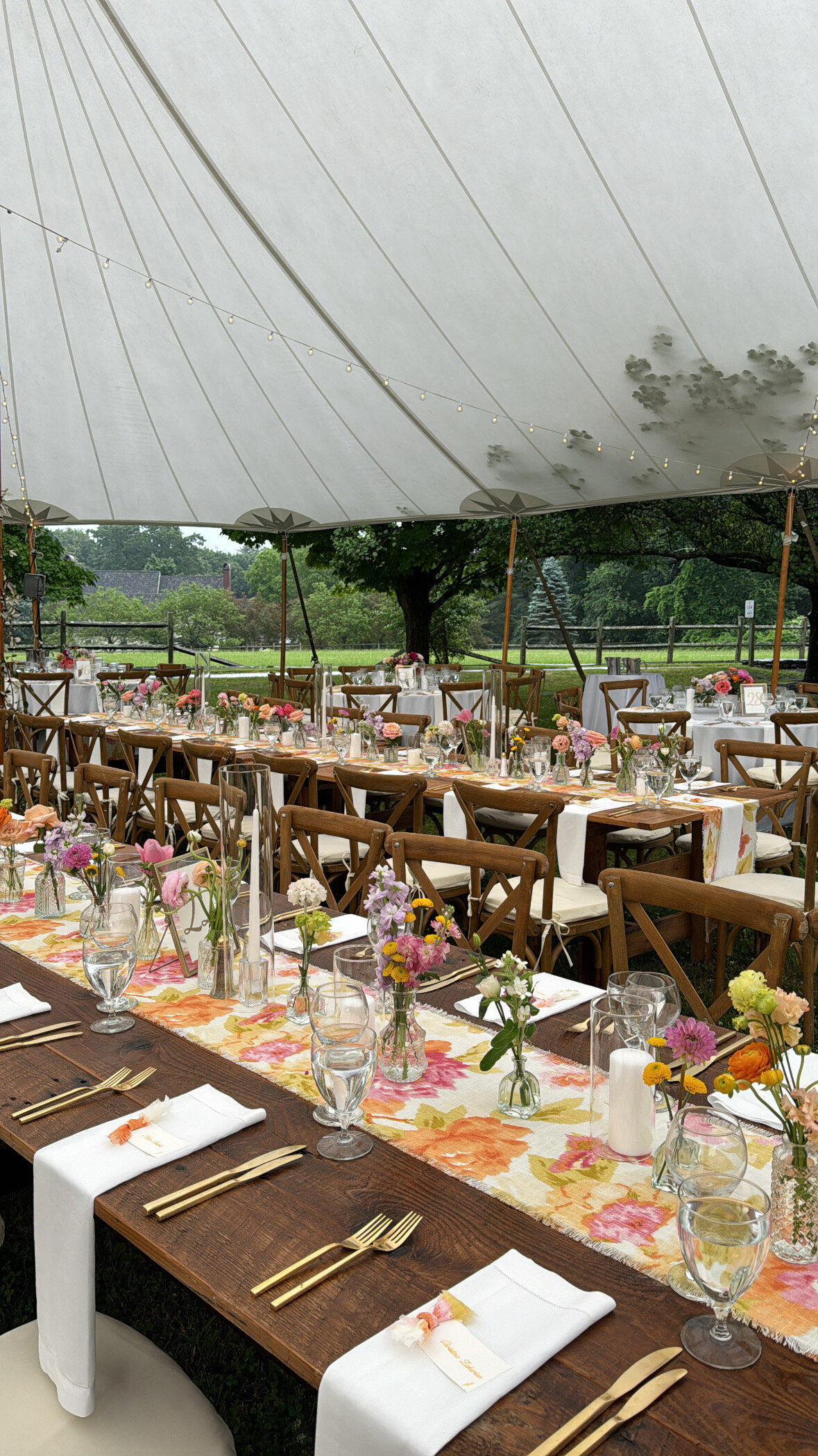 BB79E879-7E32-4A65-B217-1C484C8963D2