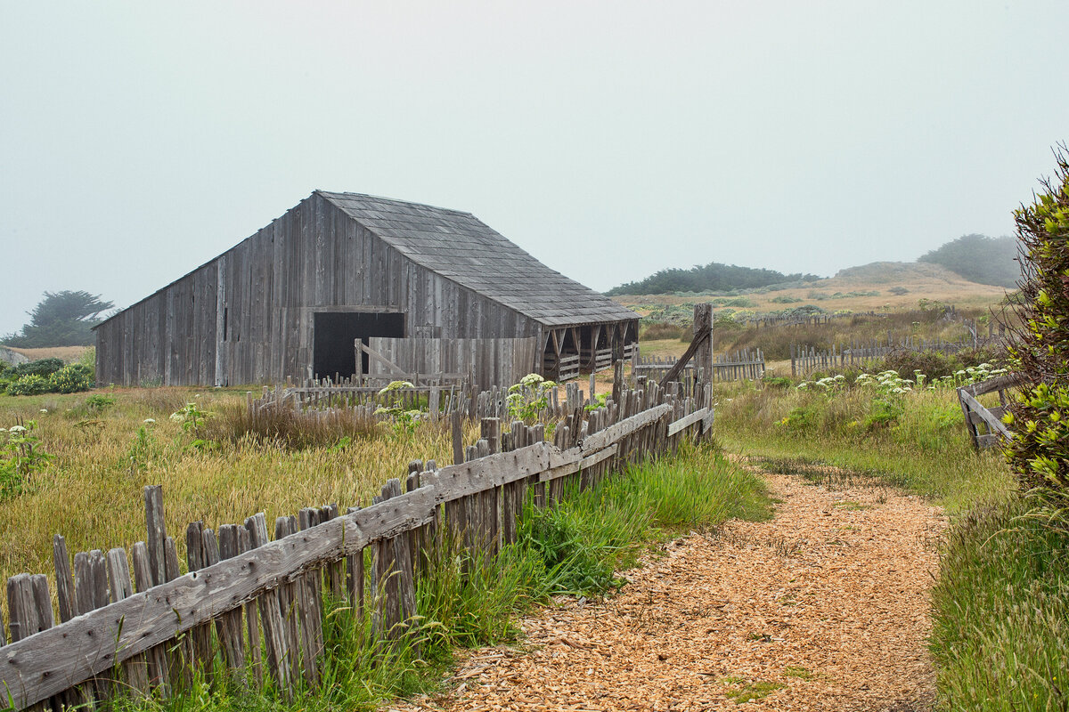 20150601_MENDOCINO_0022_01