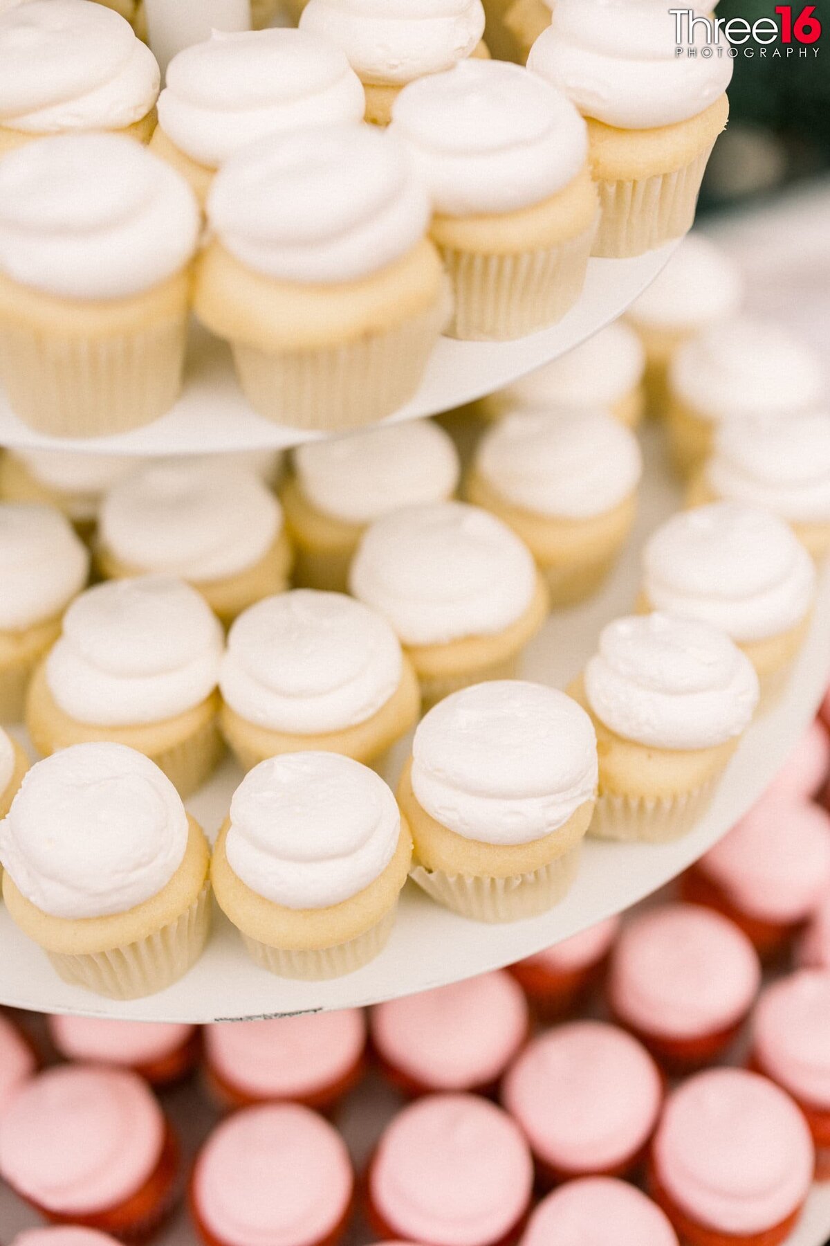 Three16 Photography Orange County-1002