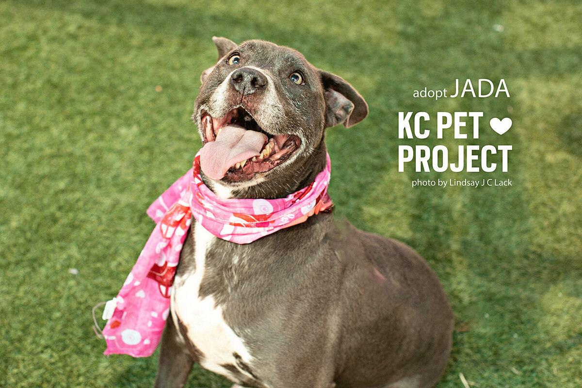 Jada_20230806_KCPP_Dogs_0063