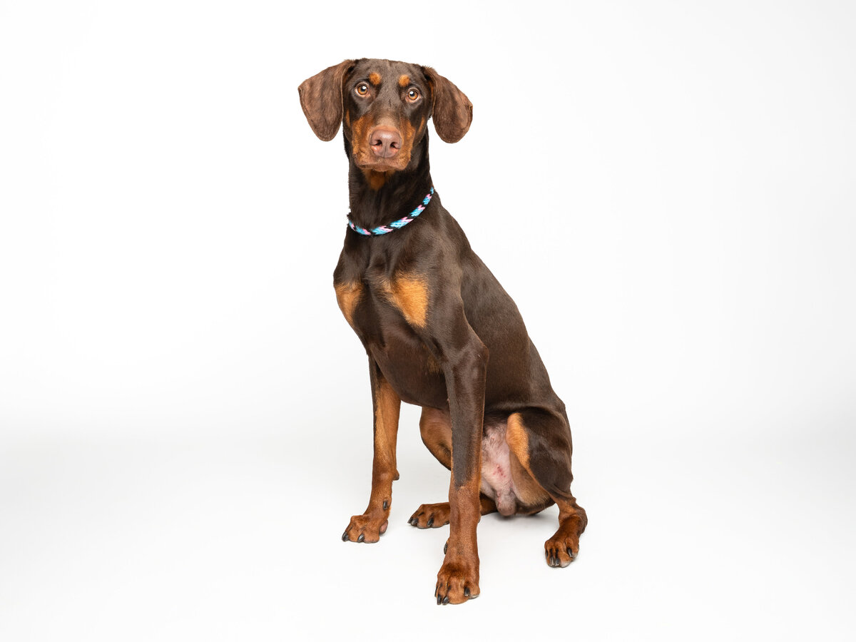 Website3500-DSC01828