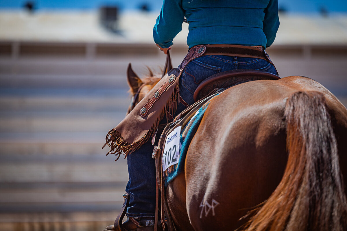 New-Mexico-Horse-Show-Photographer-034