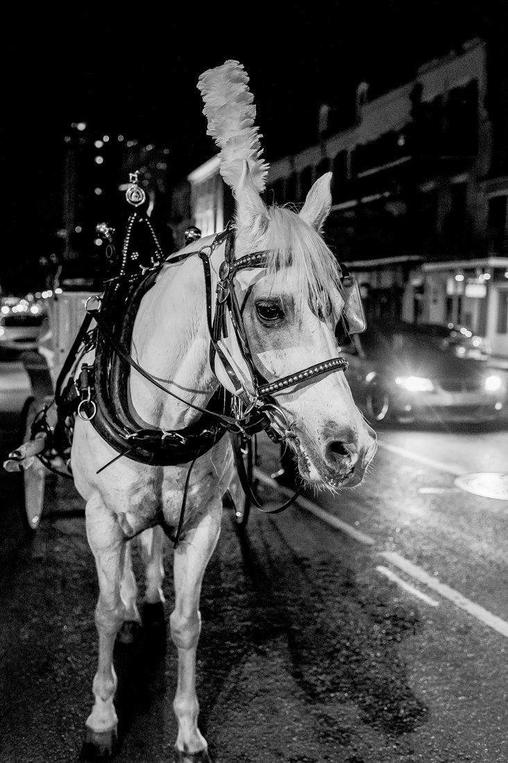 hotel_monteleone_wedding_new_orleans_nola_easton_maryland_wedding_wedding_karenadixon_2018-406