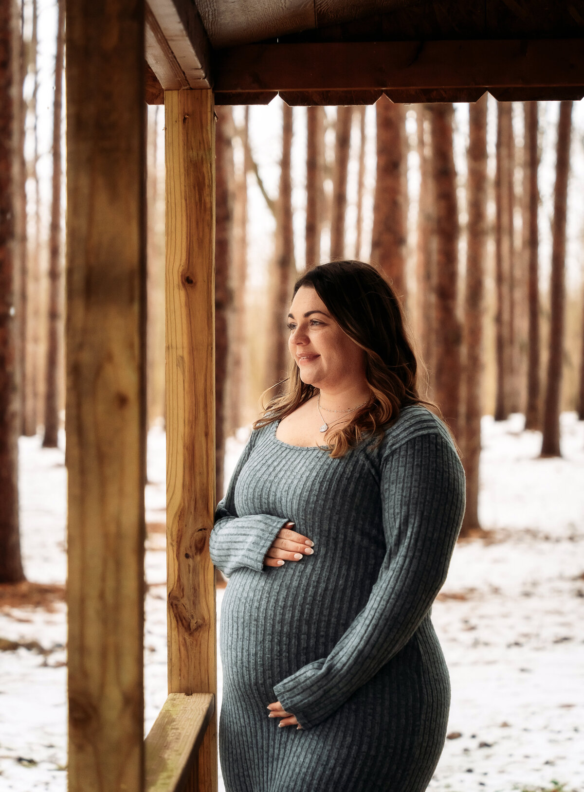 Buffalo, NY and Rochester, NY and WNY Maternity photographer. Newfane, NY Lockport NY Wilson NY Lewiston NY Amherst NY Medina NY Barker NY Williamsville NY East Aurora NY Maternity Photographer