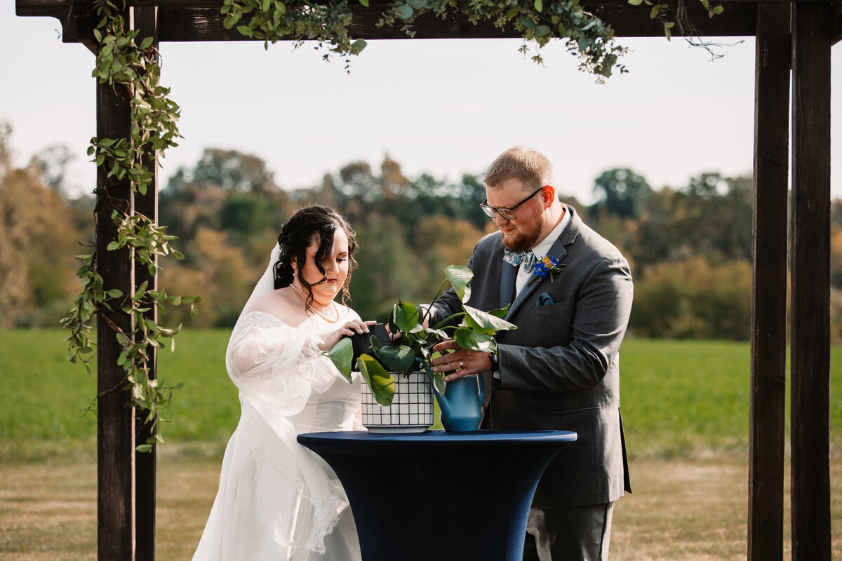 Newlyweds water their new plant in their ceremony