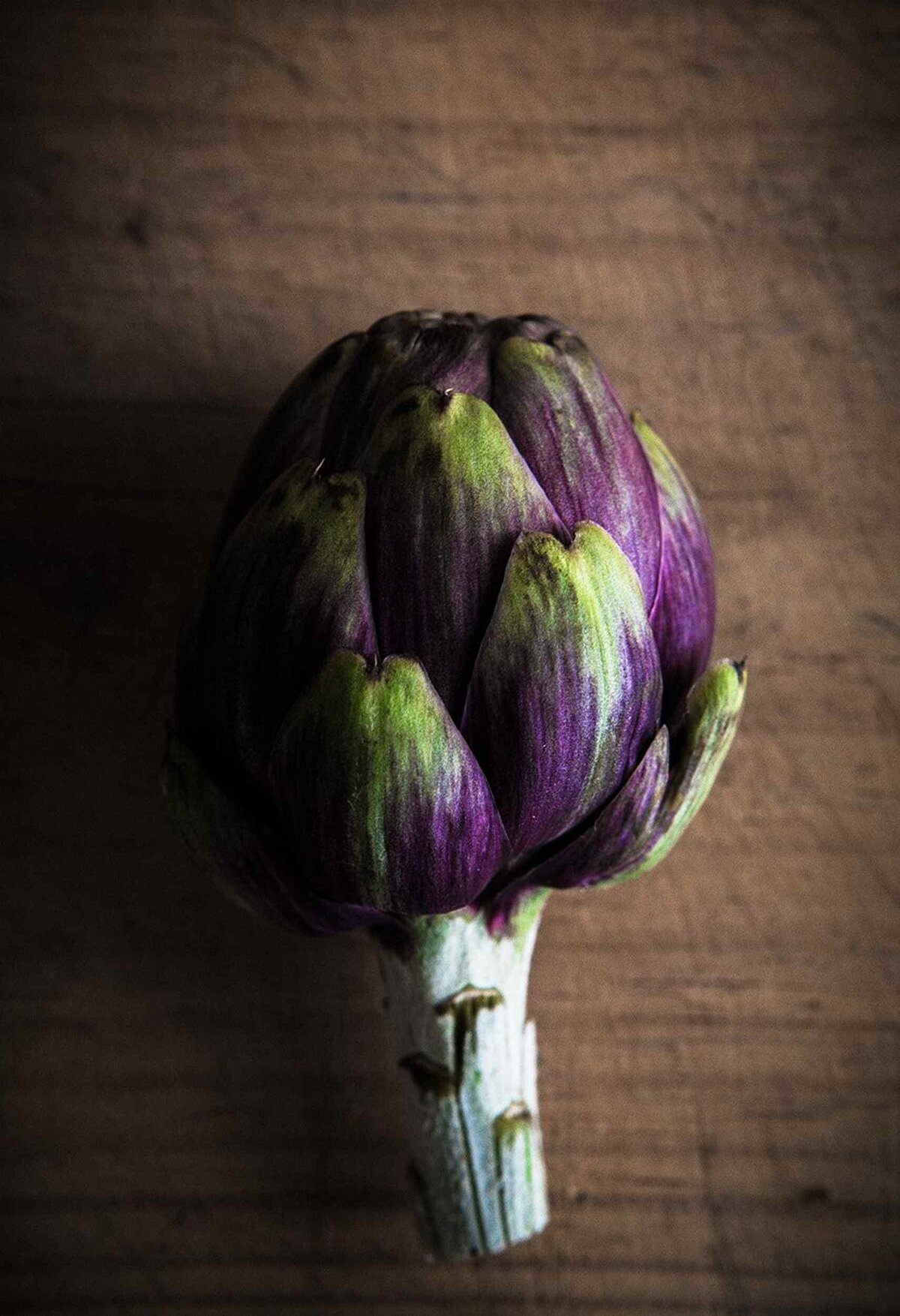 fooddrinks_photography_artichoke