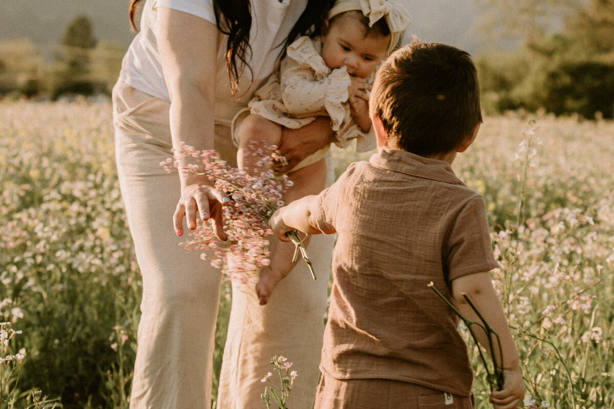 jessiecadriver.com-8320-2