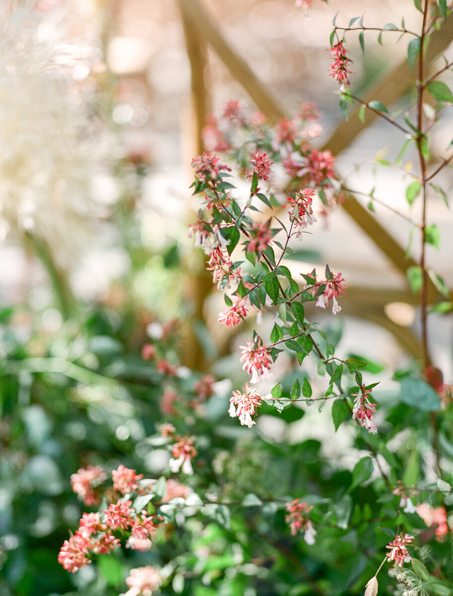 Beaulieu-gardens-wedding-napa-valley-destination-wedding-0008