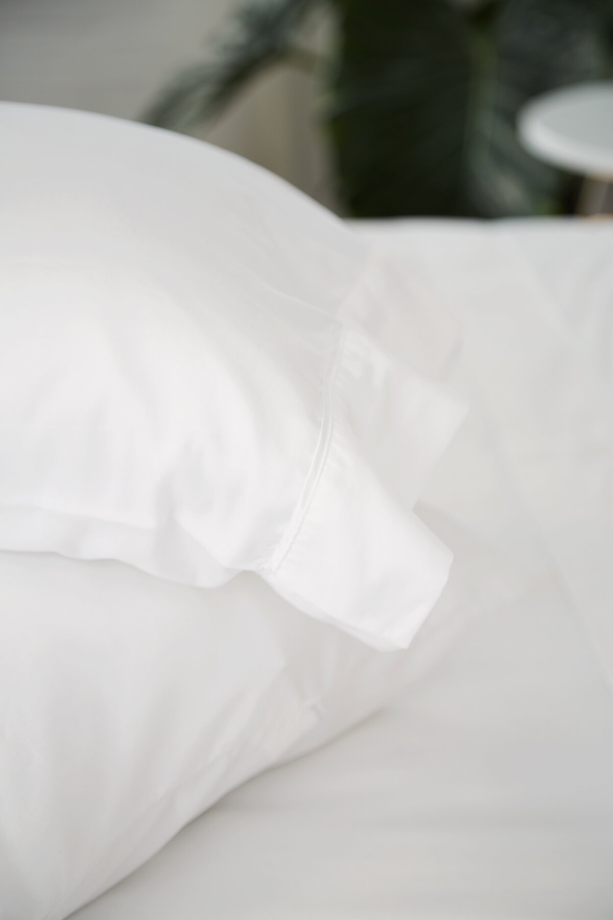 092920_Nollapelli04922