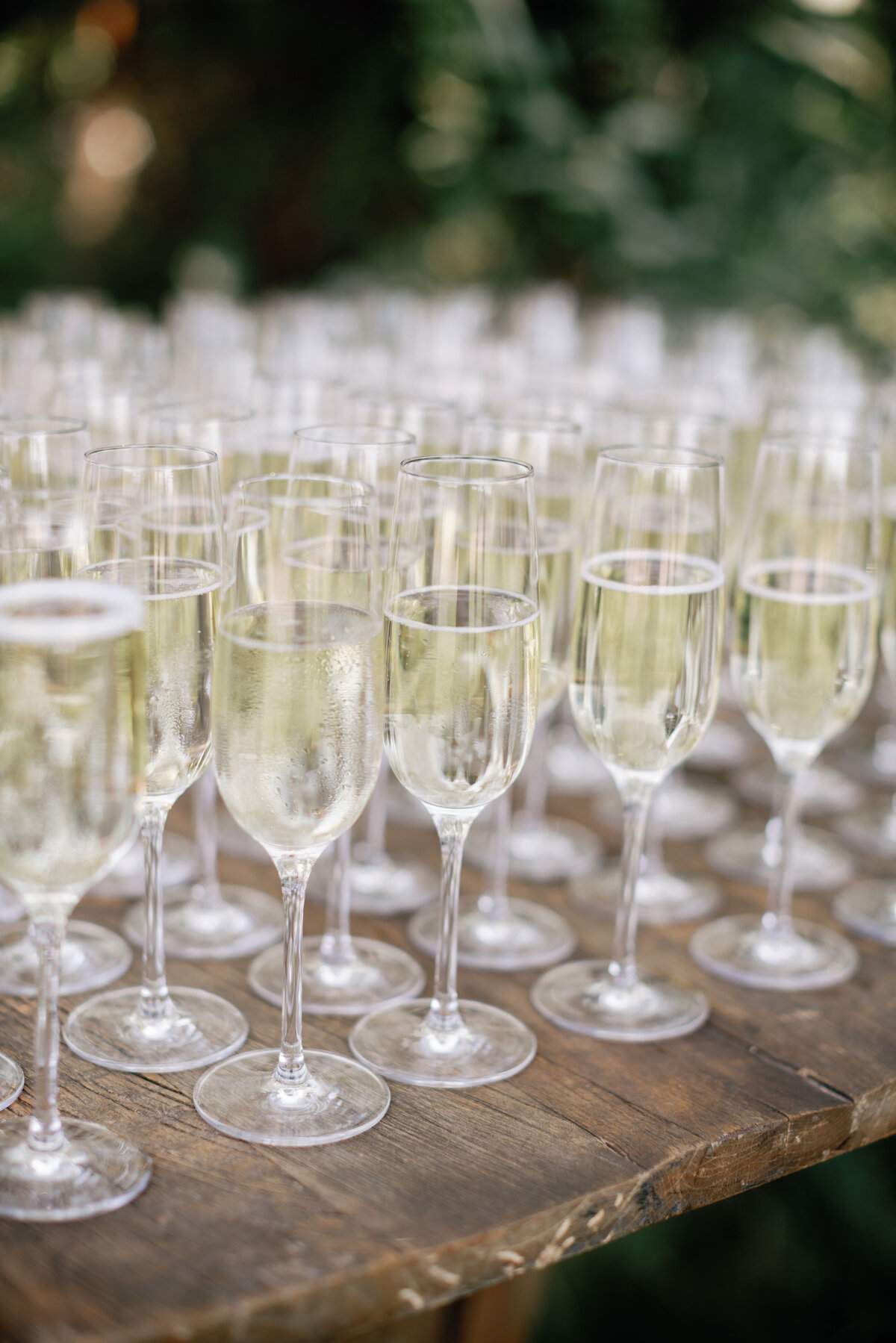 emilyandkyle_08102024_ericastreelmanphotographer-963