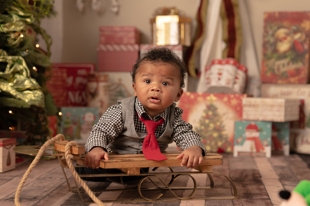 SteinArtStudio Harold family Christmas Session-23