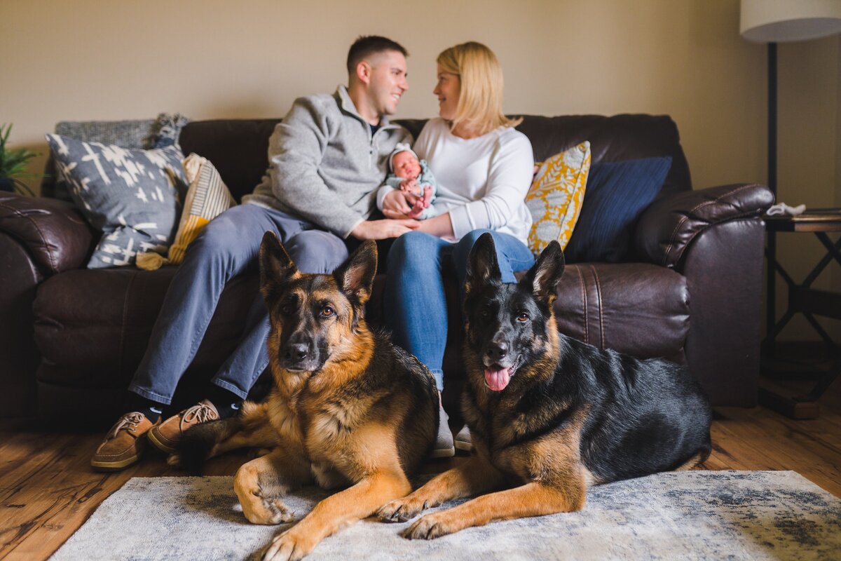 Northern Virginia Newborn Photographer Melissa Sheridan Photography_0131