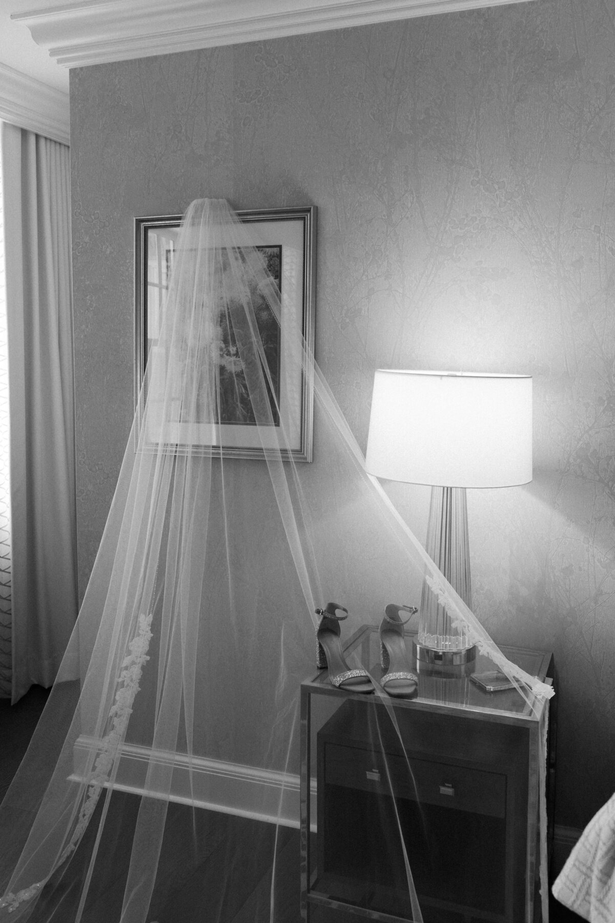 The Hassans_Sneak Peeks-1