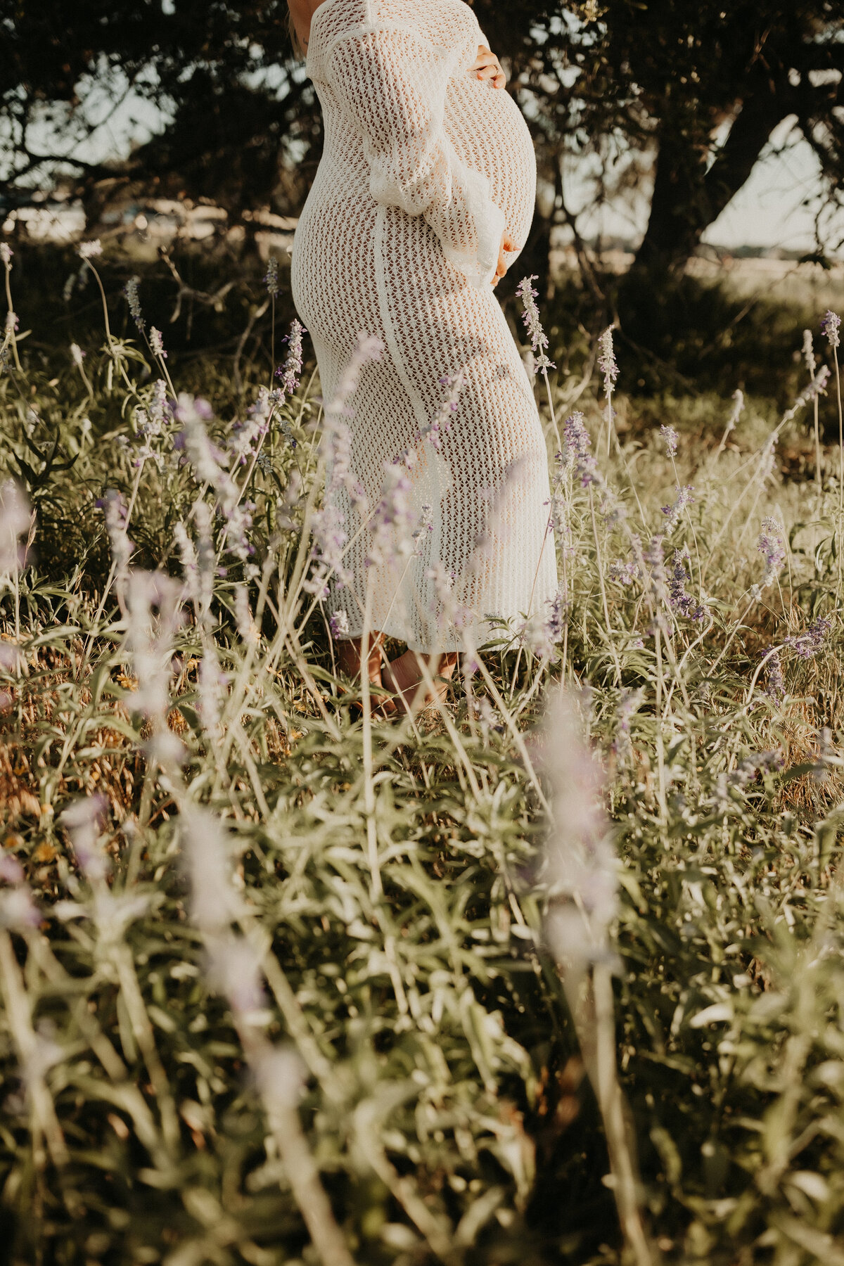 untitled (1 of 6)