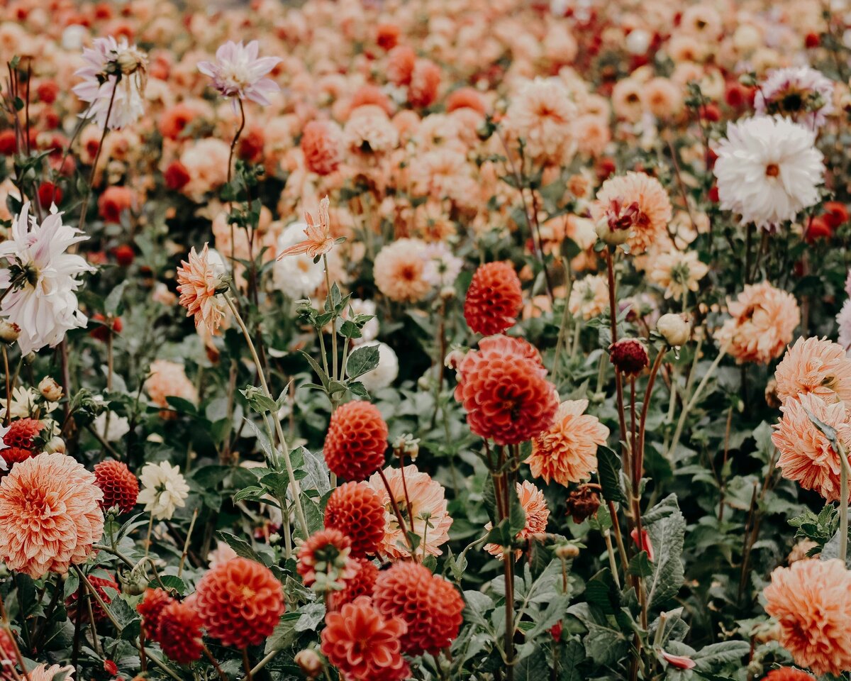Trauma Therapy Tribeca | The Manhattan Psychotherapy Co.